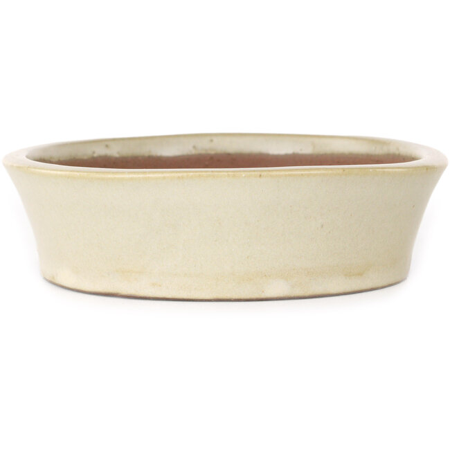Oval beige bonsai pot by Shibakatsu - 190 x 142 x 37 mm