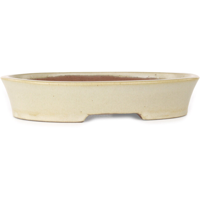 Ovale beige bonsaipot van Shibakatsu - 190 x 142 x 37 mm