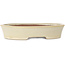 Pot à bonsaï ovale beige de Shibakatsu - 190 x 142 x 37 mm