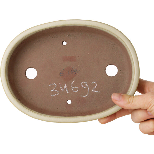 Oval beige bonsai pot by Shibakatsu - 190 x 142 x 37 mm
