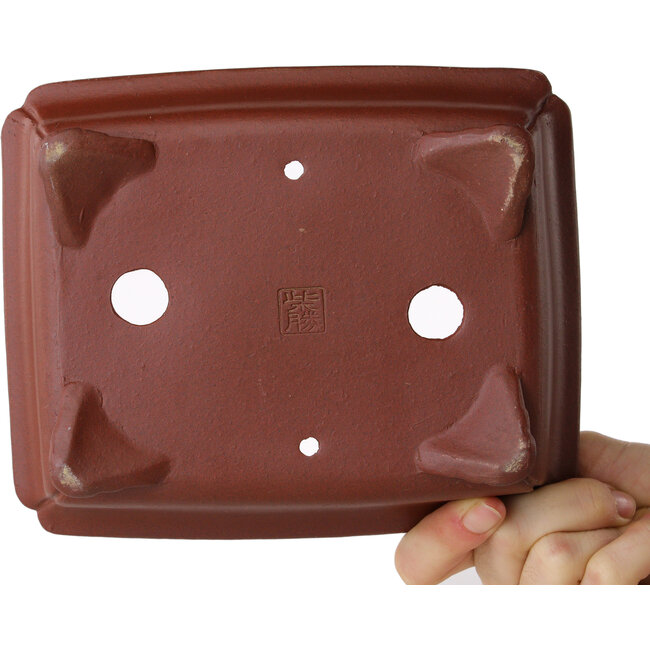 Maceta rectangular sin esmaltar para bonsái de Shibakatsu - 187 x 155 x 55 mm