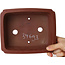 Pot à bonsaï rectangulaire non émaillé de Shibakatsu - 187 x 155 x 55 mm
