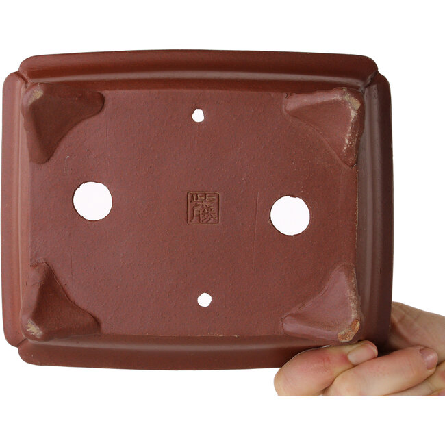 Pot à bonsaï rectangulaire non émaillé de Shibakatsu - 185 x 152 x 65 mm