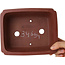 Pot à bonsaï rectangulaire non émaillé de Shibakatsu - 185 x 152 x 65 mm