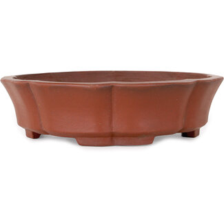  Shibakatsu (Katsuichi Shibata) 190 mm  unglazed bonsai pot by Shibakatsu, Tokoname, Japan