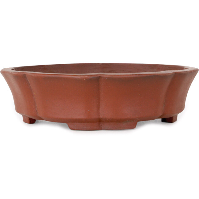 Lotus unglazed bonsai pot by Shibakatsu - 190 x 190 x 50 mm