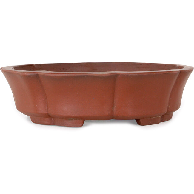 Maceta de bonsái Lotus sin esmaltar de Shibakatsu - 190 x 190 x 50 mm