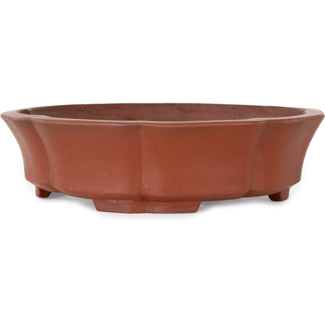 Maceta de bonsái Lotus sin esmaltar de Shibakatsu - 190 x 190 x 50 mm