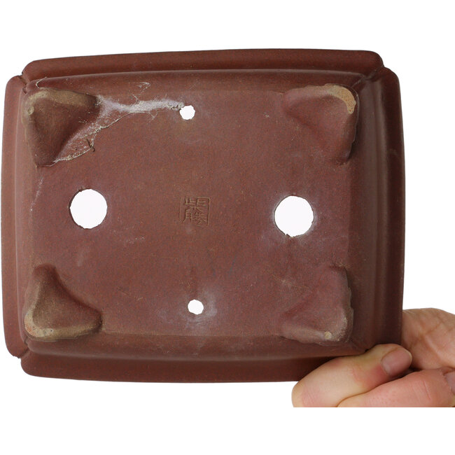 Pot à bonsaï rectangulaire non émaillé de Shibakatsu - 160 x 130 x 50 mm