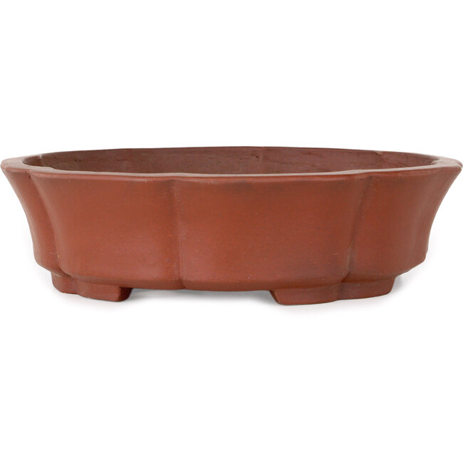 Vaso bonsai Lotus non smaltato di Shibakatsu - 190 x 190 x 50 mm