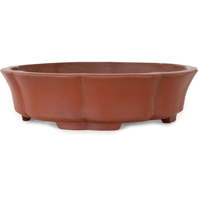 Vaso bonsai Lotus non smaltato di Shibakatsu - 190 x 190 x 50 mm