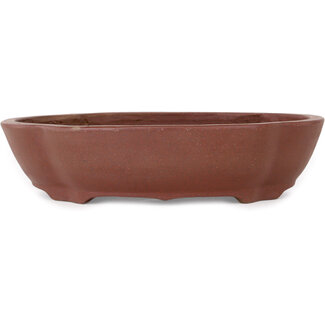  Shibakatsu (Katsuichi Shibata) 185 mm  unglazed bonsai pot by Shibakatsu, Tokoname, Japan