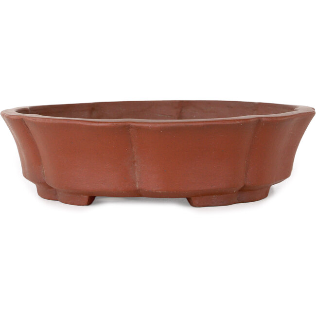 Maceta de bonsái Lotus sin esmaltar de Shibakatsu - 190 x 190 x 50 mm