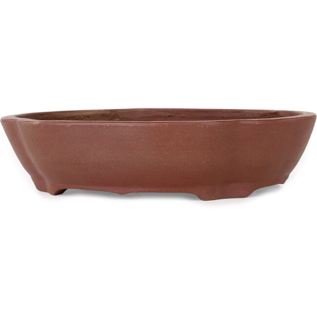 Maceta para bonsái sin esmaltar Mokko de Shibakatsu - 185 x 170 x 50 mm