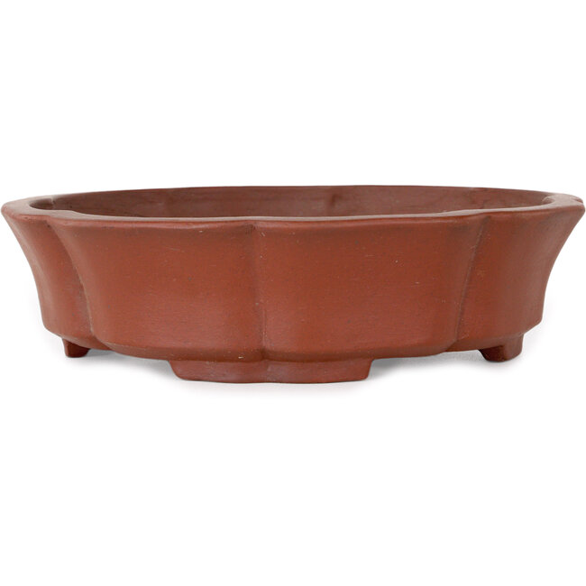 Pot à bonsaï Lotus non émaillé de Shibakatsu - 190 x 190 x 50 mm