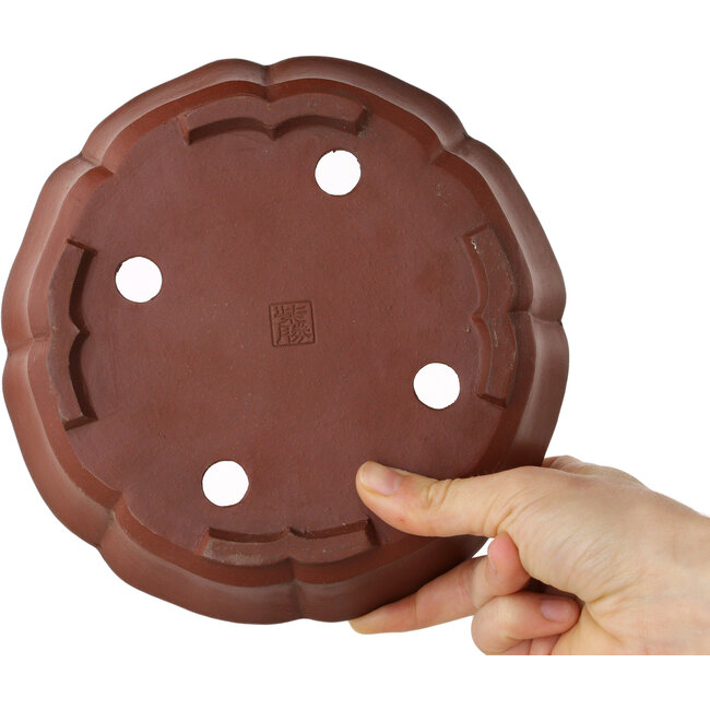 Pot à bonsaï Lotus non émaillé de Shibakatsu - 190 x 190 x 50 mm