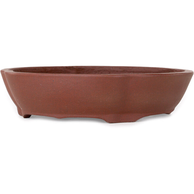 Mokko unglazed bonsai pot by Shibakatsu - 185 x 170 x 50 mm