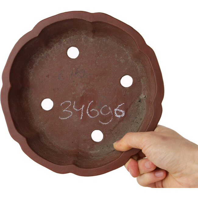 Maceta de bonsái Lotus sin esmaltar de Shibakatsu - 190 x 190 x 50 mm