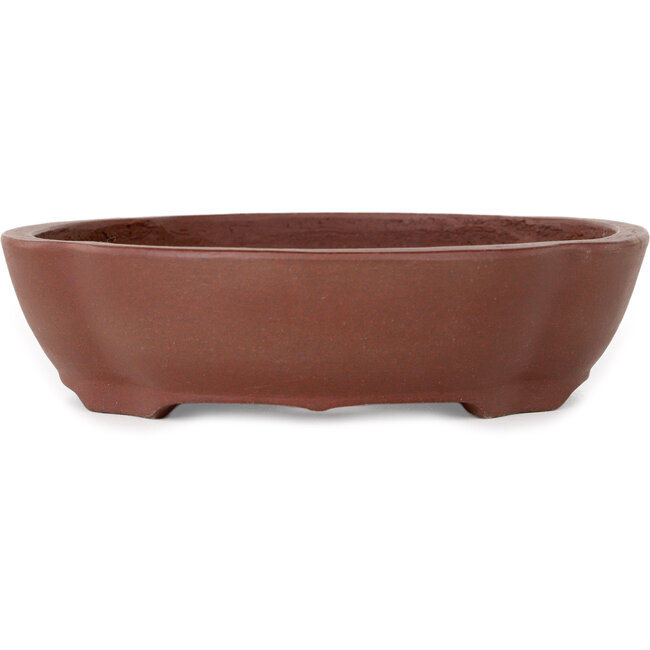 Vaso bonsai Mokko non smaltato di Shibakatsu - 185 x 170 x 50 mm