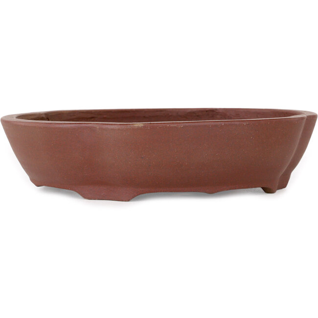 Pot à bonsaï Mokko non émaillé de Shibakatsu - 185 x 170 x 50 mm