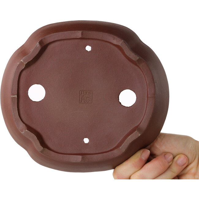 Mokko ongeglazuurde bonsaipot van Shibakatsu - 185 x 170 x 50 mm