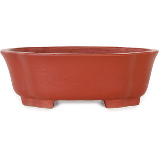  Shibakatsu (Katsuichi Shibata) 187 mm  unglazed bonsai pot by Shibakatsu, Tokoname, Japan