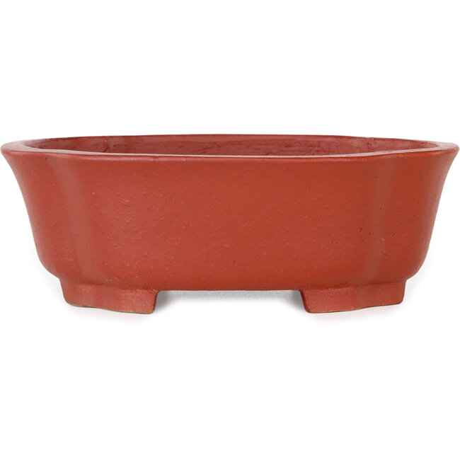 Mokko unglazed bonsai pot by Shibakatsu - 187 x 160 x 65 mm
