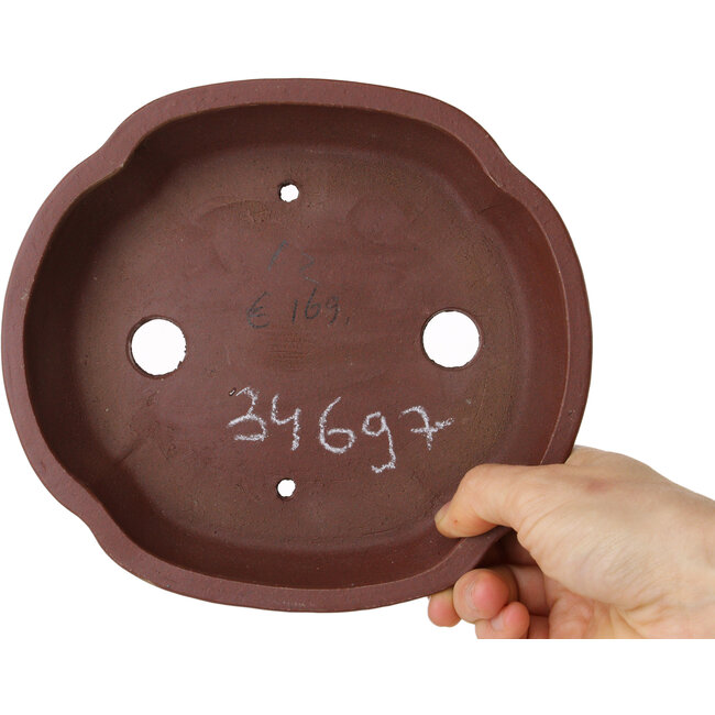 Pot à bonsaï Mokko non émaillé de Shibakatsu - 185 x 170 x 50 mm