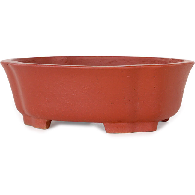 Vaso bonsai Mokko non smaltato di Shibakatsu - 187 x 160 x 65 mm