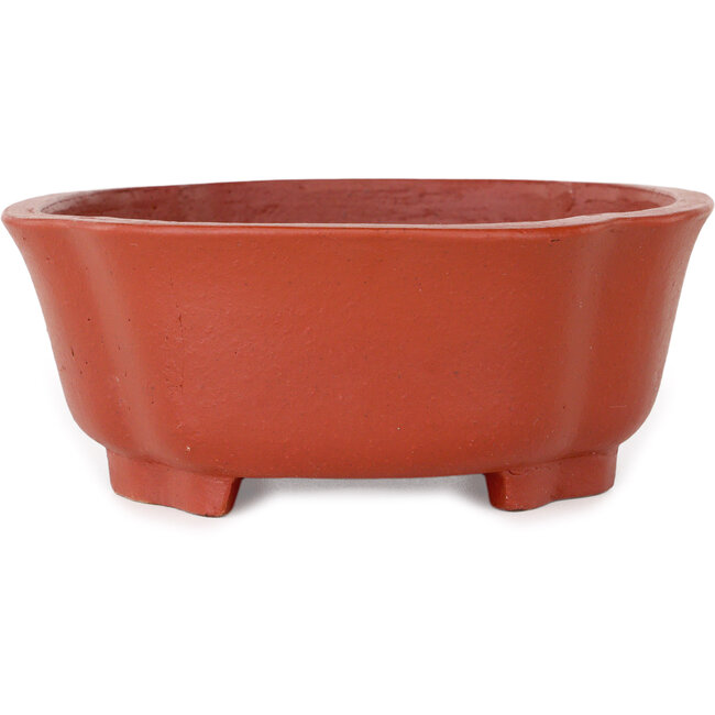 Maceta para bonsái Mokko sin esmaltar de Shibakatsu - 187 x 160 x 65 mm