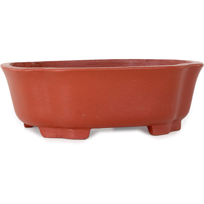 Mokko unglazed bonsai pot by Shibakatsu - 187 x 160 x 65 mm