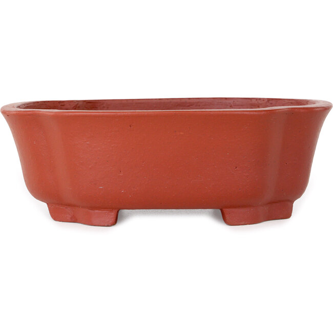 Vaso bonsai Mokko non smaltato di Shibakatsu - 187 x 160 x 65 mm