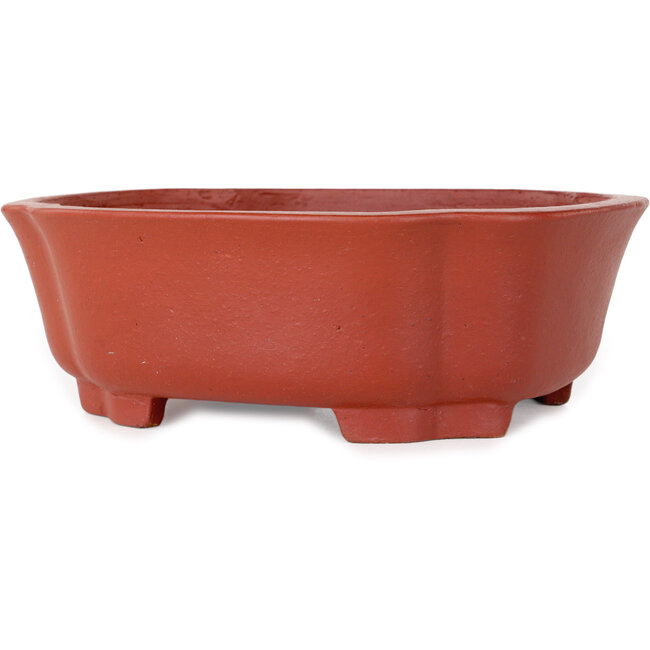 Mokko unglazed bonsai pot by Shibakatsu - 187 x 160 x 65 mm