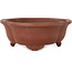 Mokko unglazed bonsai pot by Shibakatsu - 180 x 156 x 60 mm