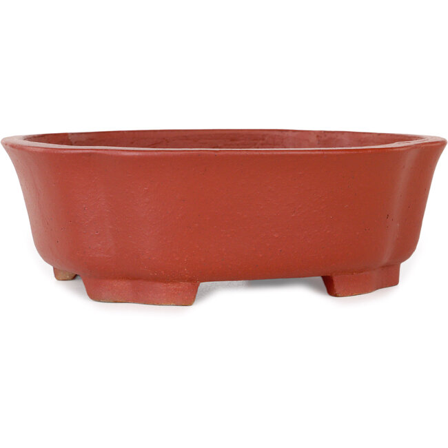 Pot à bonsaï Mokko non émaillé de Shibakatsu - 187 x 160 x 65 mm