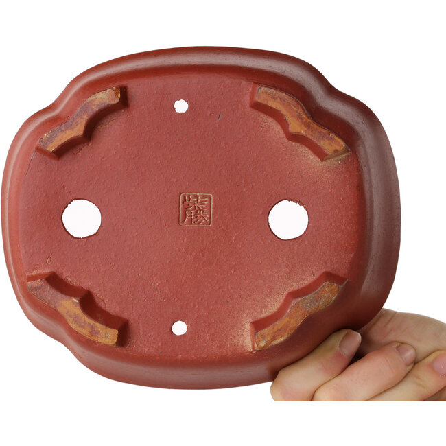 Mokko ongeglazuurde bonsaipot van Shibakatsu - 187 x 160 x 65 mm