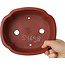 Mokko ongeglazuurde bonsaipot van Shibakatsu - 187 x 160 x 65 mm