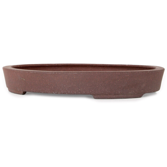 Pot à bonsaï ovale non émaillé par Hattori - 225 x 170 x 32 mm
