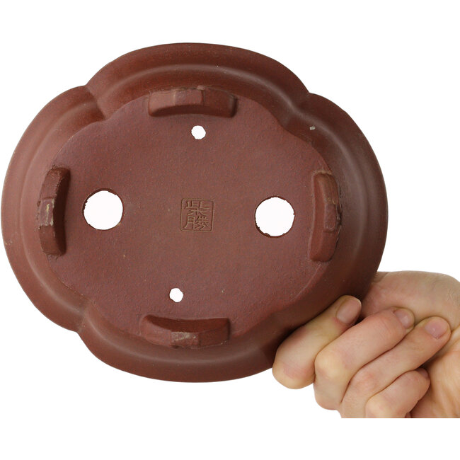 Maceta para bonsái Mokko sin esmaltar de Shibakatsu - 180 x 156 x 60 mm