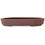 Ovale ongeglazuurde bonsaipot van Hattori - 225 x 170 x 32 mm