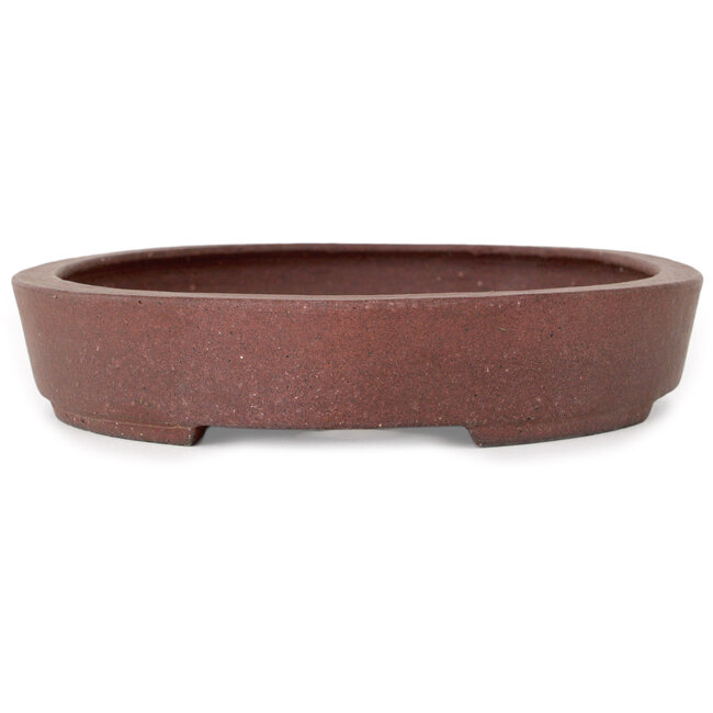 Pot à bonsaï ovale non émaillé par Hattori - 225 x 170 x 32 mm