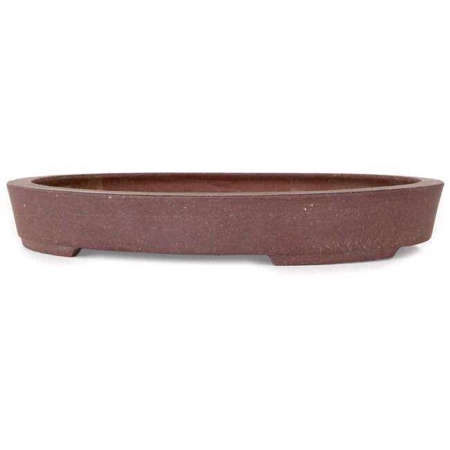 Maceta ovalada sin esmaltar para bonsái de Hattori - 225 x 170 x 32 mm