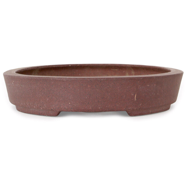 Maceta ovalada sin esmaltar para bonsái de Hattori - 225 x 170 x 32 mm