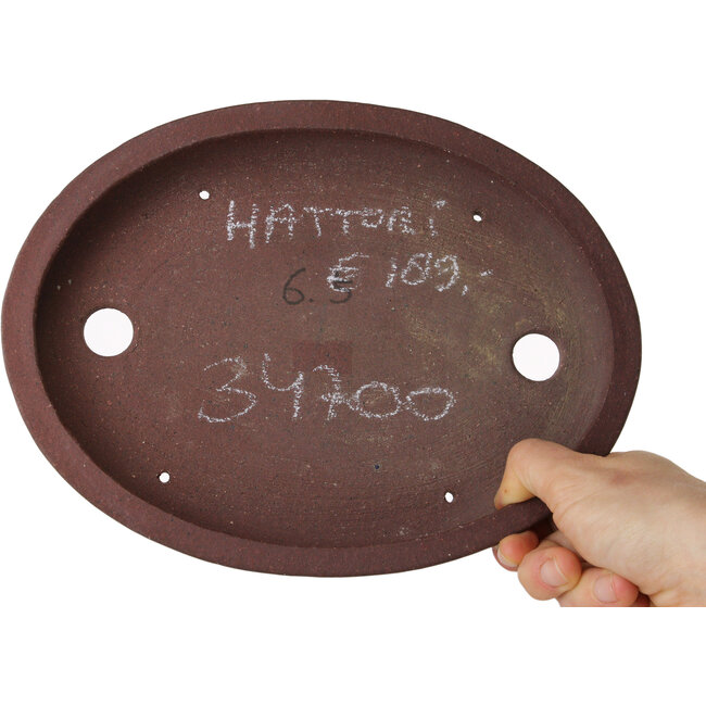 Pot à bonsaï ovale non émaillé par Hattori - 225 x 170 x 32 mm