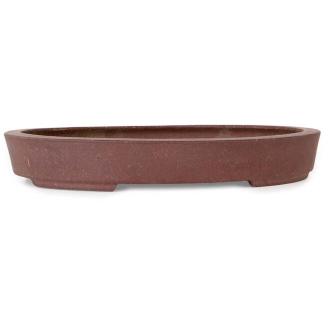 Vaso bonsai ovale non smaltato di Hattori - 225 x 170 x 32 mm