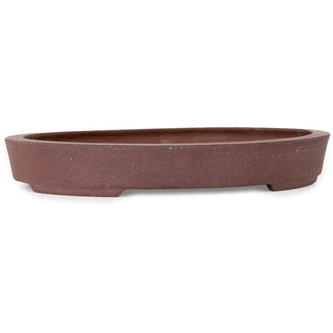 Maceta ovalada sin esmaltar para bonsái de Hattori - 225 x 170 x 32 mm
