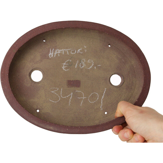 Maceta ovalada sin esmaltar para bonsái de Hattori - 225 x 170 x 32 mm