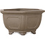 Hexagonal unglazed bonsai pot - 125 x 125 x 60 mm