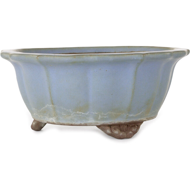 Maceta de bonsái azul loto de Yamaaki - 225 x 225 x 100 mm