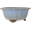 Lotus blue bonsai pot by Yamaaki - 225 x 225 x 100 mm